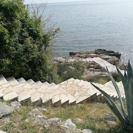 Apartman Marinkovic Dobra Voda Εξωτερικό φωτογραφία