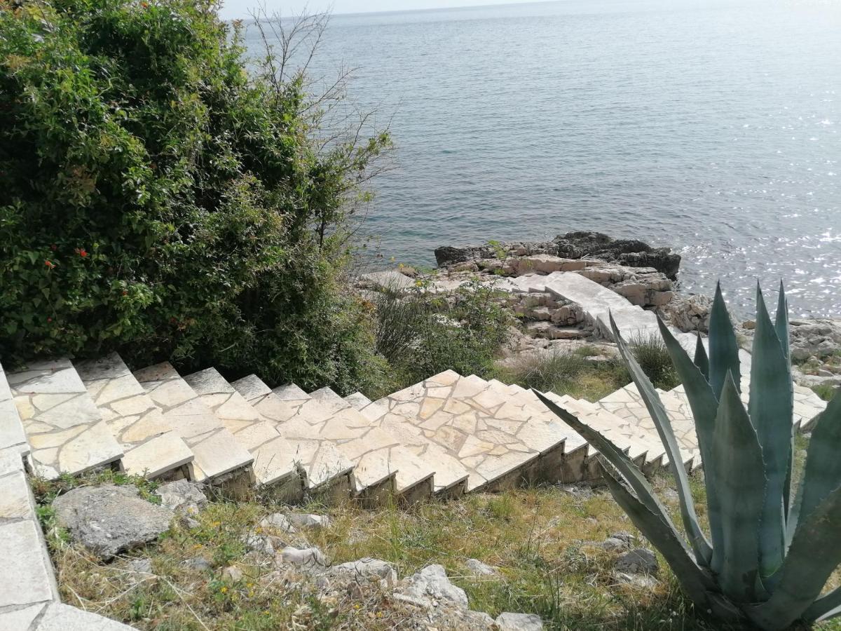 Apartman Marinkovic Dobra Voda Εξωτερικό φωτογραφία