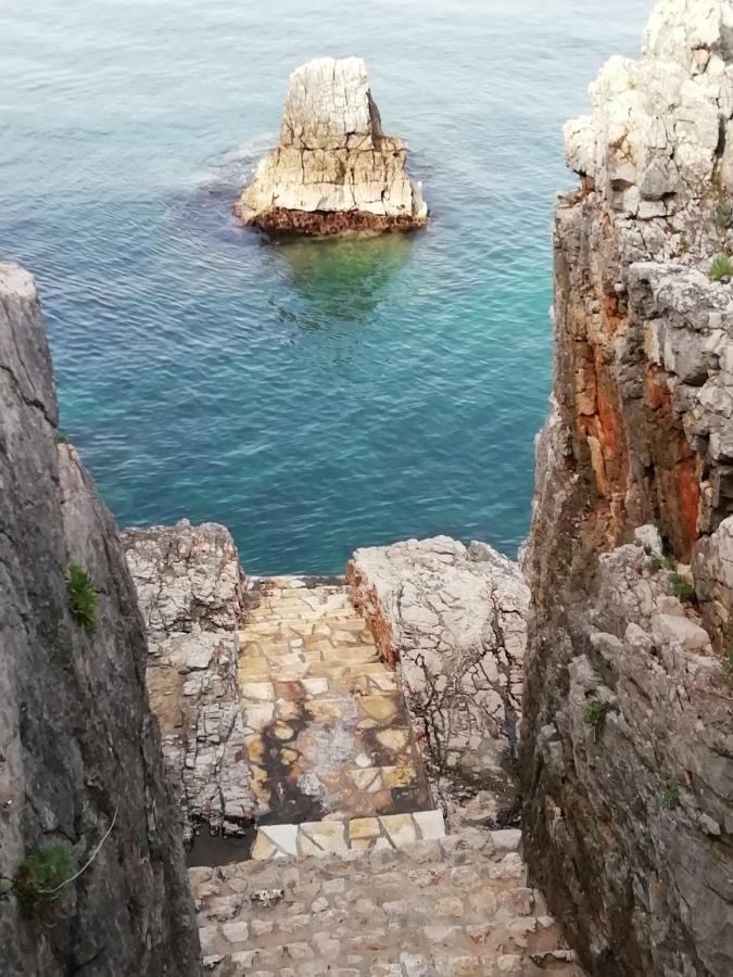Apartman Marinkovic Dobra Voda Εξωτερικό φωτογραφία