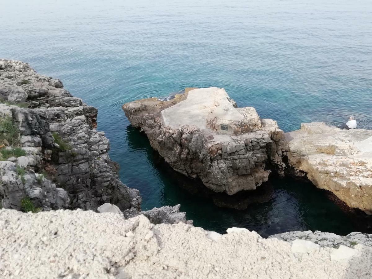Apartman Marinkovic Dobra Voda Εξωτερικό φωτογραφία